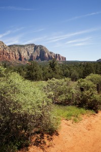 AZ engagement session | Adrienne Fletcher Photography