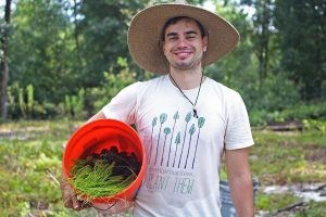 Tree planting volunteer