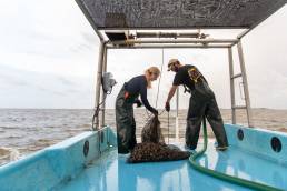 commercial fishing photography