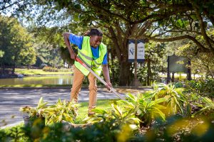 branding images for landscape company